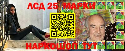 мдма Новозыбков