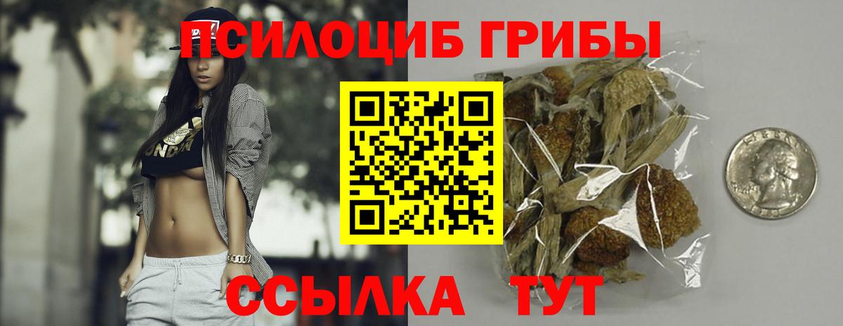 Галлюциногенные грибы мухоморы Сердобск
