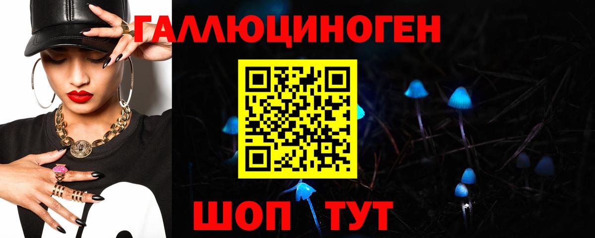 Сердобск  Псилоцибиновые грибы GOLDEN TEACHER  Псилоцибиновые грибы Psilocybe  Вход с VPN 